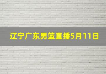 辽宁广东男篮直播5月11日