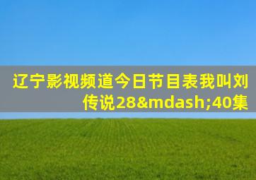 辽宁影视频道今日节目表我叫刘传说28—40集