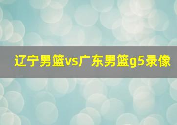 辽宁男篮vs广东男篮g5录像