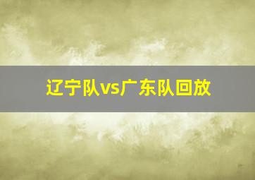 辽宁队vs广东队回放