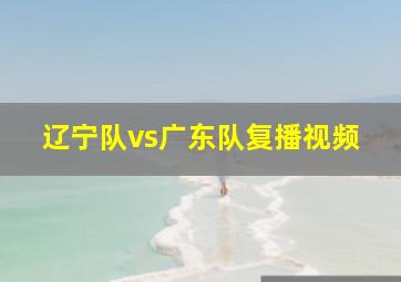 辽宁队vs广东队复播视频