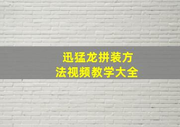 迅猛龙拼装方法视频教学大全