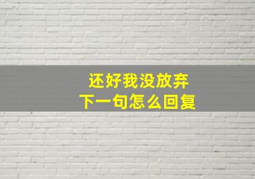 还好我没放弃下一句怎么回复