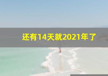 还有14天就2021年了