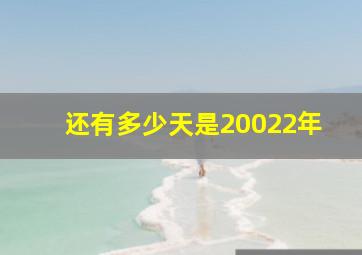 还有多少天是20022年