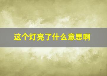 这个灯亮了什么意思啊