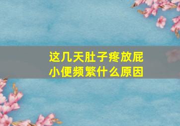 这几天肚子疼放屁小便频繁什么原因