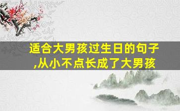 适合大男孩过生日的句子,从小不点长成了大男孩