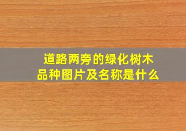 道路两旁的绿化树木品种图片及名称是什么