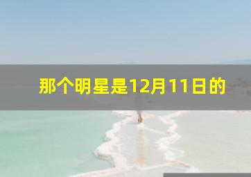 那个明星是12月11日的