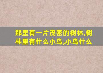 那里有一片茂密的树林,树林里有什么小鸟,小鸟什么