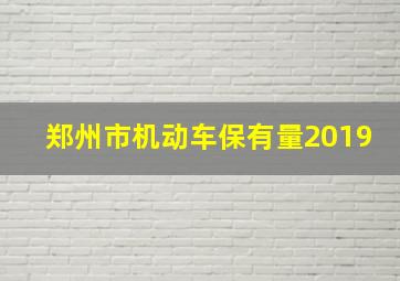 郑州市机动车保有量2019