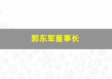 郭东军董事长