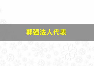 郭强法人代表