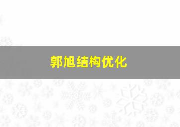 郭旭结构优化