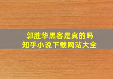 郭胜华黑客是真的吗知乎小说下载网站大全