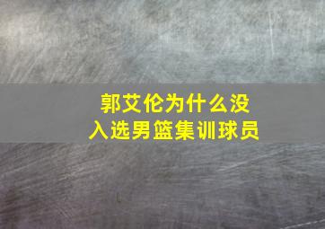 郭艾伦为什么没入选男篮集训球员