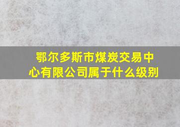 鄂尔多斯市煤炭交易中心有限公司属于什么级别