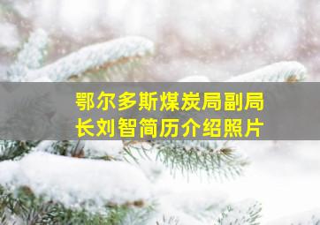 鄂尔多斯煤炭局副局长刘智简历介绍照片