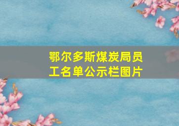 鄂尔多斯煤炭局员工名单公示栏图片