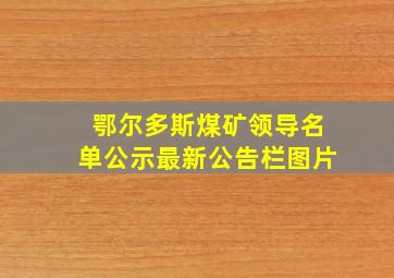 鄂尔多斯煤矿领导名单公示最新公告栏图片