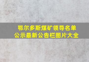 鄂尔多斯煤矿领导名单公示最新公告栏图片大全