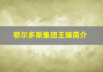 鄂尔多斯集团王臻简介