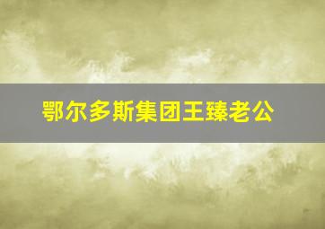 鄂尔多斯集团王臻老公