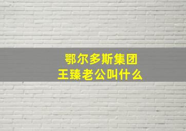 鄂尔多斯集团王臻老公叫什么