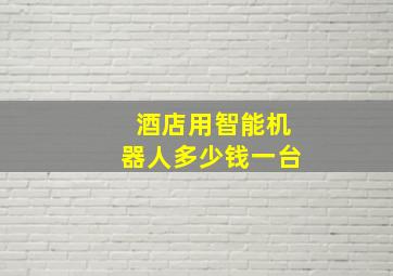 酒店用智能机器人多少钱一台