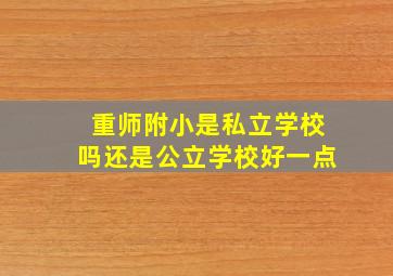 重师附小是私立学校吗还是公立学校好一点