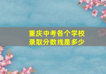 重庆中考各个学校录取分数线是多少