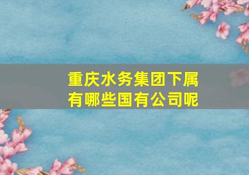 重庆水务集团下属有哪些国有公司呢