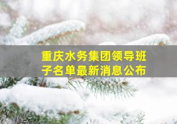 重庆水务集团领导班子名单最新消息公布