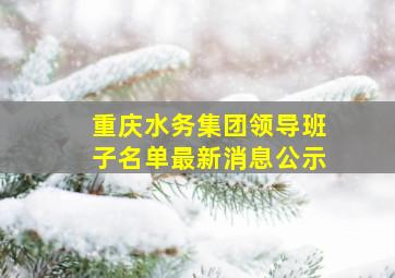 重庆水务集团领导班子名单最新消息公示