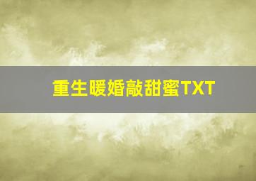 重生暖婚敲甜蜜TXT