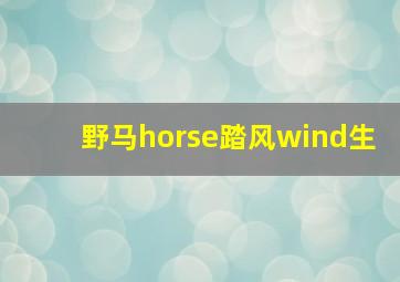 野马horse踏风wind生