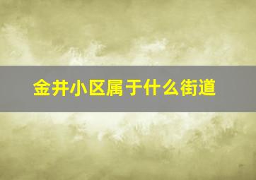 金井小区属于什么街道