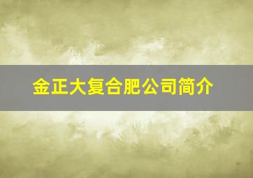 金正大复合肥公司简介