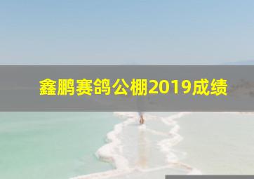 鑫鹏赛鸽公棚2019成绩