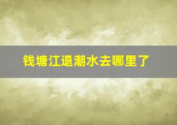 钱塘江退潮水去哪里了