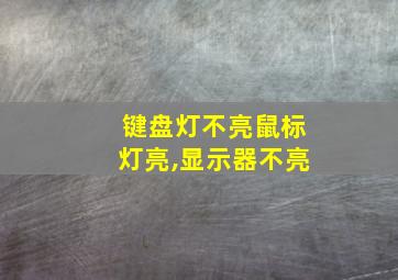 键盘灯不亮鼠标灯亮,显示器不亮