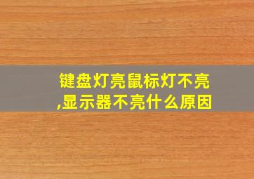 键盘灯亮鼠标灯不亮,显示器不亮什么原因