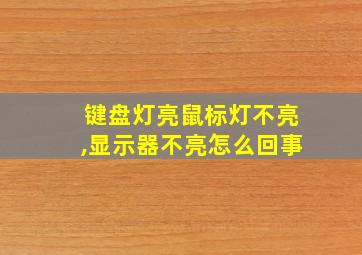 键盘灯亮鼠标灯不亮,显示器不亮怎么回事