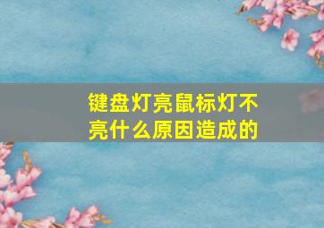 键盘灯亮鼠标灯不亮什么原因造成的