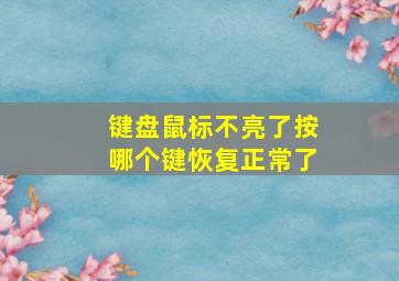 键盘鼠标不亮了按哪个键恢复正常了