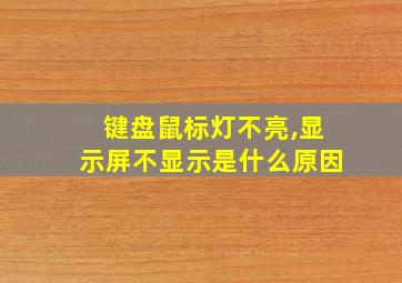 键盘鼠标灯不亮,显示屏不显示是什么原因