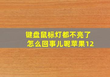 键盘鼠标灯都不亮了怎么回事儿呢苹果12