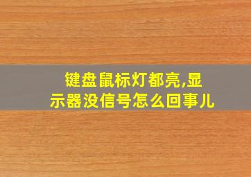 键盘鼠标灯都亮,显示器没信号怎么回事儿