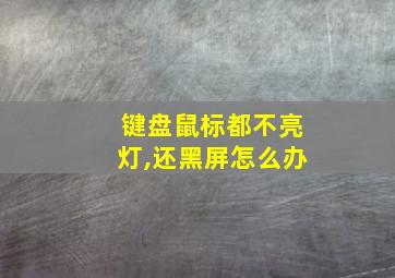 键盘鼠标都不亮灯,还黑屏怎么办